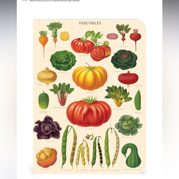 Mushrooms Mini Notebooks (3 pack)
By Cavallini Papers & Co., For Bundles Only - Picture 3 of 8